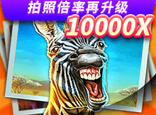 SAFARI