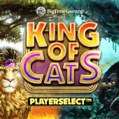 King of Cats - Play at A66 Malaysia