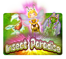 Insect Paradise - Play at A66 Malaysia
