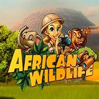 African Wildlife - Play at A66 Malaysia