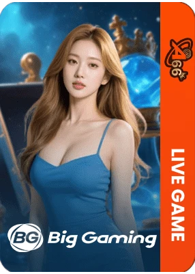 Big Gaming (BG) – A66 游戏供应商