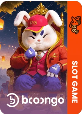 BNG Boongo – A66 游戏供应商